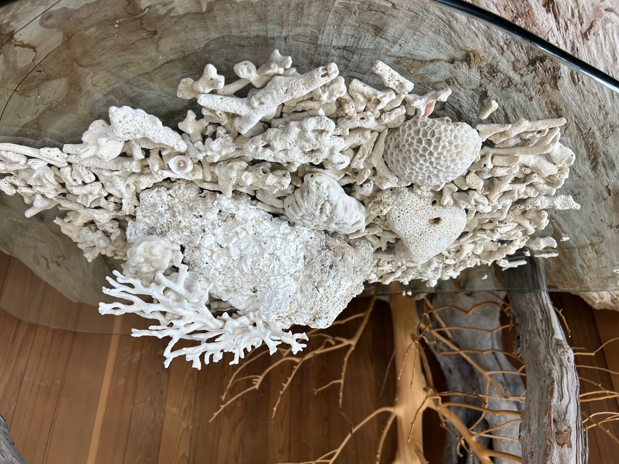 コーラルインテリアガーデン